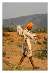 Pushkar 67  Evening at the Pushkar Camel Fair