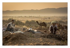 Pushkar 70  Evening at the Pushkar Camel Fair