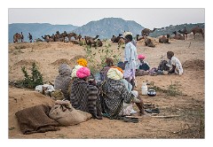 Pushkar 75  Evening at the Pushkar Camel Fair