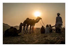 Pushkar 76  Evening at the Pushkar Camel Fair