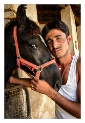 Udaipur 05  Stable lad and horse