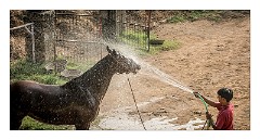 Udaipur 08  Cooling down