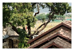 Udaipur 10  View from the hotel of the cricket ground