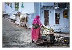 Udaipur 26  Cleaning the Streets of the Old Town