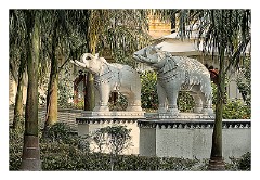 Udaipur 38  Spar Beautiful Gardens