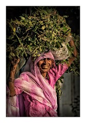 Udaipur 39  The gardener at the Spar