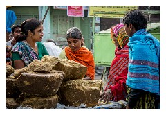 Udaipur 65  Wazirpur