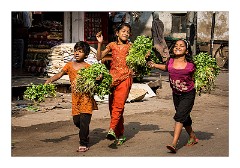 Udaipur 82  Food bought for the animals