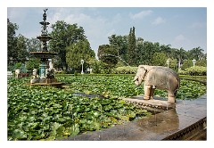 Udaipur 87  Saheli Ki Bari rose gardens and fountains
