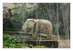 Udaipur 88  Saheli Ki Bari rose gardens and fountains