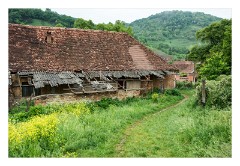 Copsa Mare 11  The hill and homes on the way to the church