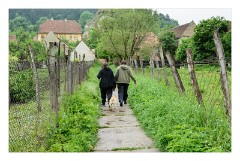 Copsa Mare 13  Copsa Mare locals taking the dog for a walk