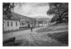 Copsa Mare 14  Going home after visiting the only shop