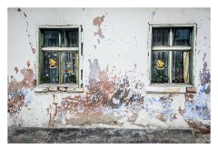 Copsa Mare 27  Smaranda and our dog for the evening