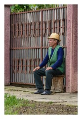 Copsa Mare 29  Bringing the cows home