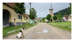 Copsa Mare 31  The main street evening