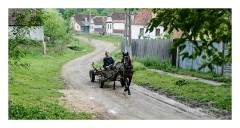 Copsa Mare 33  Local Gypsy boy