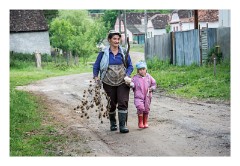 Copsa Mare 35  Another checky face