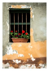 Richis 01  Window at our picnic area