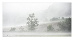 Copsa Mica 02  Early morning on our way to Copsa Mica