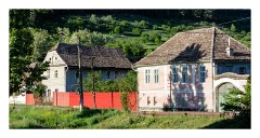 Cris  06  Shadows on the wall