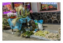 Medias 02  Wild flowers, all for making tea