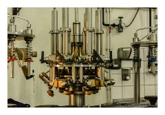 Azuga Champagne 01  Bottling Champagne