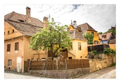 Sighisoara 20  More colourful houses around the Citadel Wall