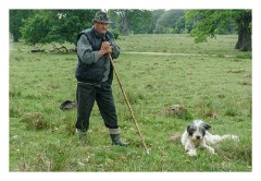 Sighisoara 31  Shepherd with one of his dogs