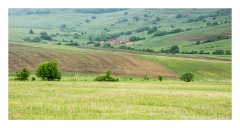 Viscri 05  Views of the countryside