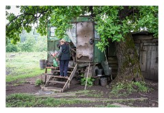 Viscri 06  Visiting Imre and Pieroska the charcoal makers