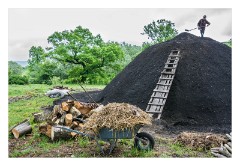 Viscri 11  Working the mound, getting it ready to set fire that night to start burning and making the charcoal