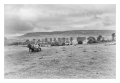 Viscri 16  View of the countryside and the rest of our group in their horse and cart