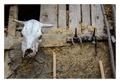 Viscri 23  Decoration on one of his sheds