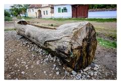 Viscri 30  Water for people and animals