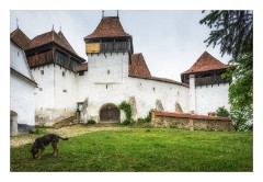 Viscri 42  The Fortified church