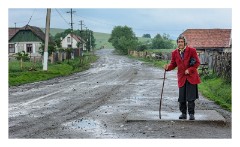 Viscri 56  The old lady on her way home
