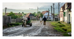 Viscri 57  A Viscri street