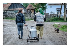 Viscri 63  Pulling the milk churns