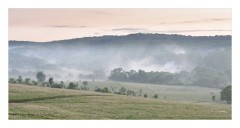 Viscri 64  Evening light in the mist