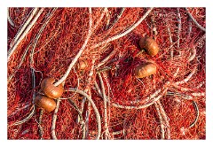 Bosa 06  Fishing Nets