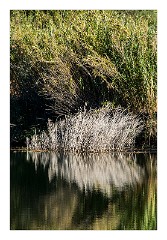 Bosa 49  River Views