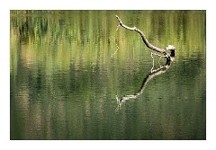 Bosa 50  Peaceful River View