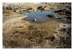 Villages and Areas Around Bosa 04  Torre Argentino Beach