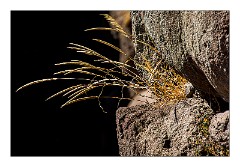 Villages and Areas Around Bosa 19  Villanova Monteleone Nuraghe Appiu