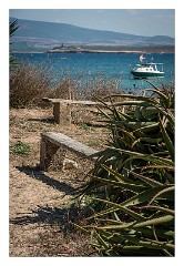 Villages and Areas Around Bosa 58  Feline Colony at Su Pallosu