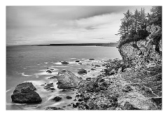 Mckinleyville Trip 02  Patrick's Point State Park, Humboldt County