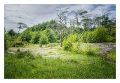 Mckinleyville Trip 13  Prairie Creek Redwood State Park