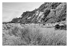 Mckinleyville Trip 19  The Beach at Prairie Creek Redwood State Park