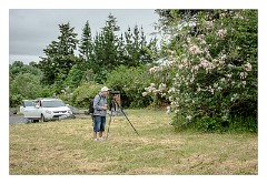 Mckinleyville Trip 31  Roland, Azalea  State Park